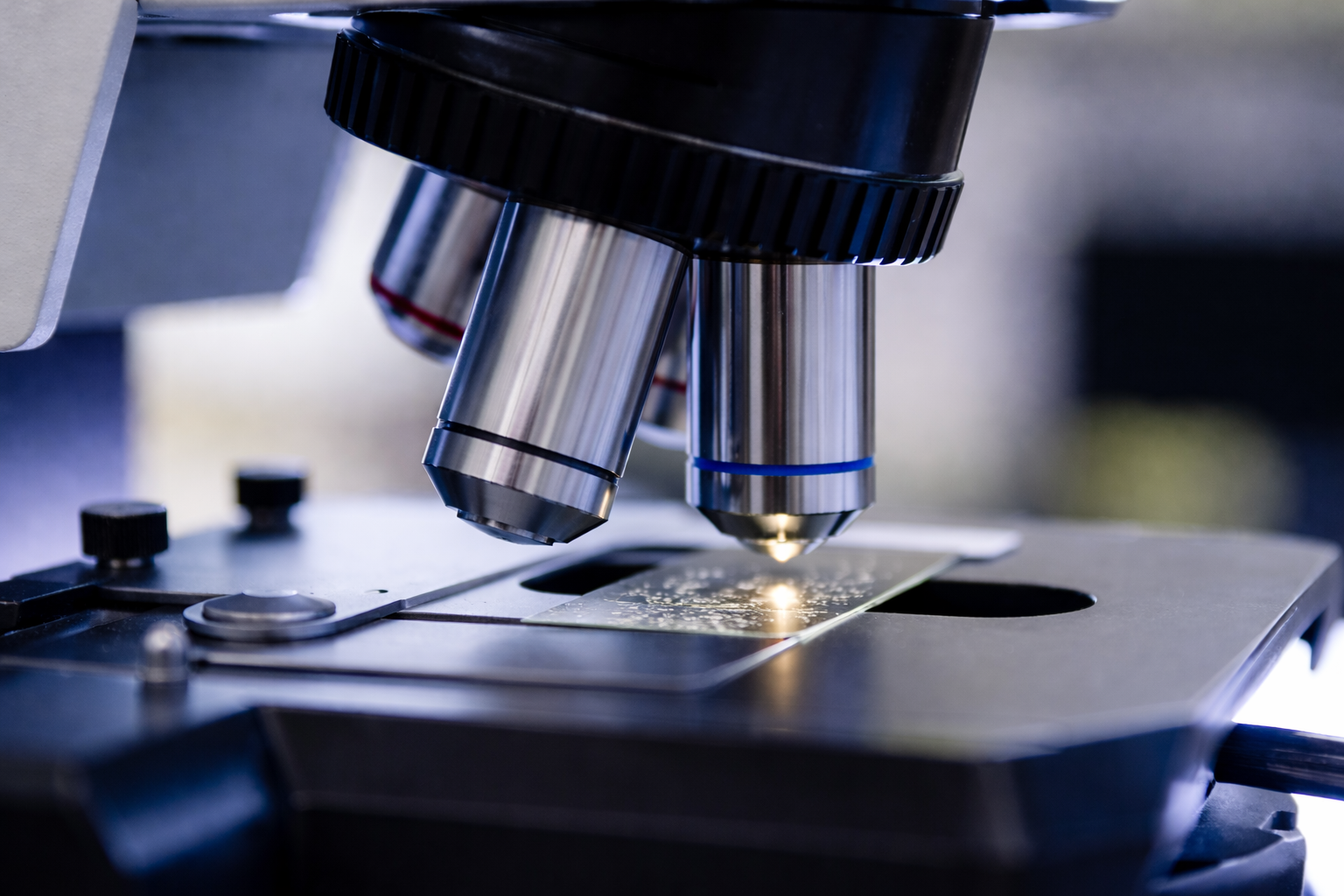 Picture of Scientific Team